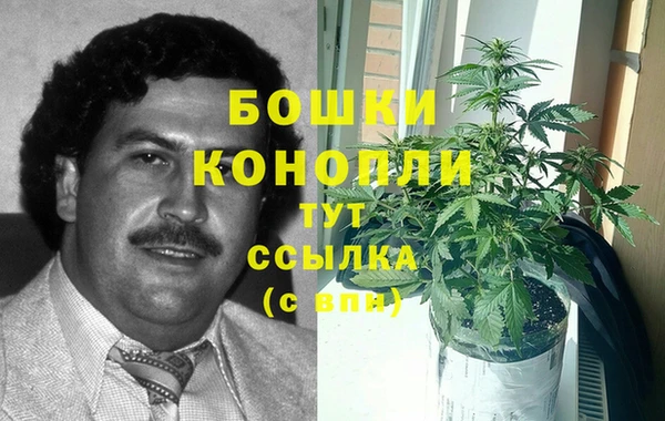 МДПВ Абаза